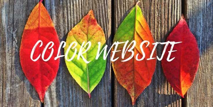 mau-sac-tren-website-nha-hang